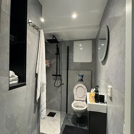 Lejlighed Newly Renovated 2-room *